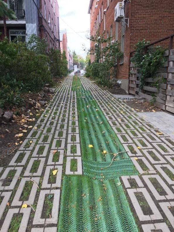 Montreal green alleyway
